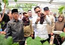 Kebun Anggur BUMDes Merak Batin Curi Perhatian Mendes PDT, Potensi Lokal Kekuatan Ekonomi Baru Kebun Anggur BUMDes Merak Batin Curi Perhatian Mendes PDT, Potensi Lokal Kekuatan Ekonomi Baru